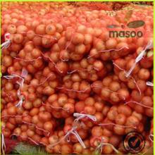 wholesale fresh china origin  onion 