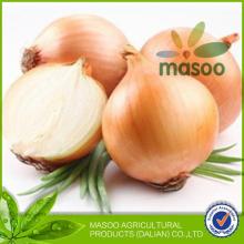 fresh yellow onion packing in  mesh   bags  exporter in China