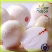 Chinese High Quality Fresh Onion with Low Price / onion storage / types of onion