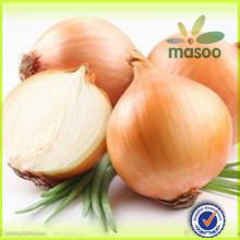 New Crop Chinese High Quality Fresh  Onion  for Sale / dehydrated  onion  /  granulated   onion 