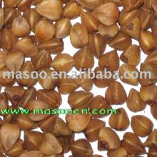 roasted buckwheat heart