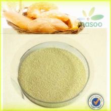 Pure Natural Biological Fermented  Instant  Active  Baker  s  Dry   Yeast 