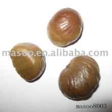peeled roasted  chestnut 