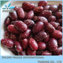 Price of Purple Speckled Kidney Beans