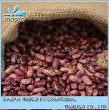 Chinese Bulk Purple Speckled Kidney Bean
