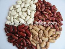 2013 new crop Red Speckled Kidney Beans from China
