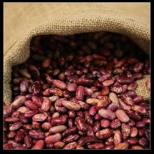 2013 Bulk Purple Speckled Kidney Bean Price