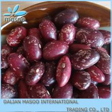 Chinese Purple Speckled Kidney Beans Bags PSKB