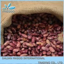bulk high quality long shape PSKB