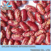 price of dried red bamboo bean