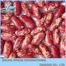 2013 China good quality Red Speckled Kidney Beans