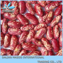 types of dry Red  pinto   Kidney   Beans 