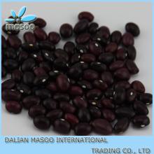 China new crop round Purple kidney bean