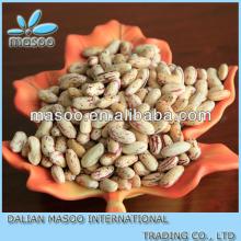 Organic large black speckled kidney beans,new crop types of edible beans, export bamboo engraved bea