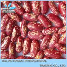 wholesale dry Red mottled bean