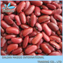  Red   Kidney  Bean  Price 