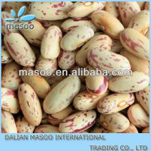 price of lskb Light Speckled Kidney Beans