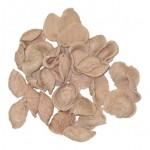 Orecchiette red wine - pasta 100% Made in Italy
