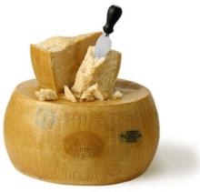 Italian hard and  soft   cheese 