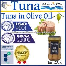 Tuna Fillets in Olive Oil ,Canned of Tuna Fillets in Olive Oil,Tuna Fillet in Olive Oil Tin,High Qua