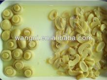 Canned Mushroom Slices
