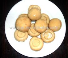 Canned Whole Mushroom in glass jar