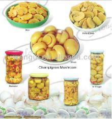 2013 newest crop Canned Whole Mushroom