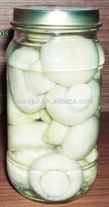 Chinese Factory Fresh Canned Mushroom Whole in Medicine