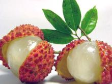 2014 canned lychee in syrup