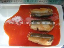 Canned Sardine Mackerel Tuna Fish in Tomato Sauce