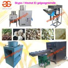 Garlic Machine|Garlic dry peeling machine |Garlic root cutting machine|Ginger garlic paste making ma
