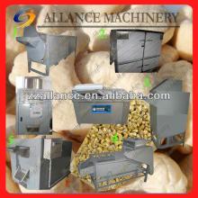 562 Applicable to cashew production cashew nut plant