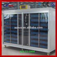 2014 multifunctional green technology hydroponic automatic system