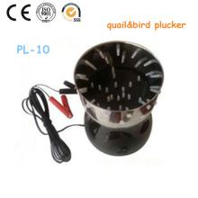 Best price chicken feet export process china high pressure washer with good quality PL-10