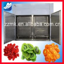 Hot selling new functional food dehydrator /fruit dryer/ fruit drying machine