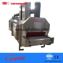 sardine tunnel freezer equipment