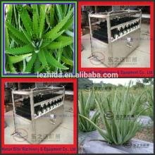 organic aloe vera plant extract