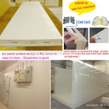 walk in freezer for chicken storage in South Africa