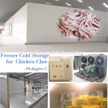 5 tons  cold   storage  for chicken feet  storage 