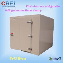 Multi-specification Pands Mini Blast Freezer for Sale