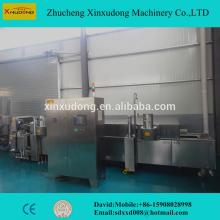 automatic temperature controled fryer