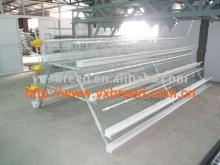 Double cold galvanized layer chicken cage