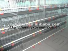 Nigeria Chicken Broiler Cage of H type steel frame