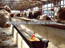 hot sale/single layer/multilayer steel structure cowshed house