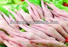 Hot sale Practical chicken feet peeling machine/ chicken feet skin removing machine