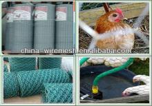 Chicken Wire Mesh