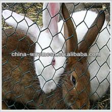 Chicken Wire Mesh/animal fence/rabit mesh
