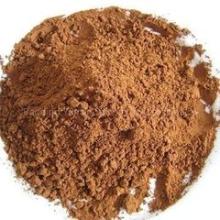 100% Natural Cocoa Seed Extract/ Theobromine10%-98%(HPLC