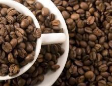 100% Natural Cocoa Bean Extract/ Cocoa Bean P.E.