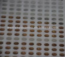 Popular poultry plastic slat floor for animal feeding